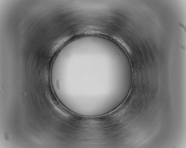 X0000095900533200801110807