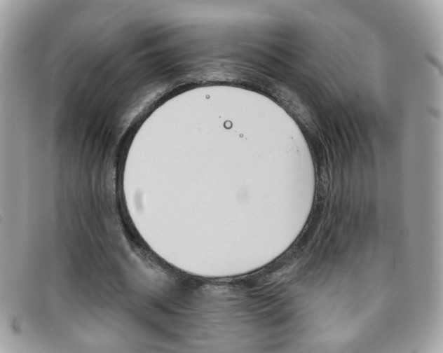 X0000095900534200801110807