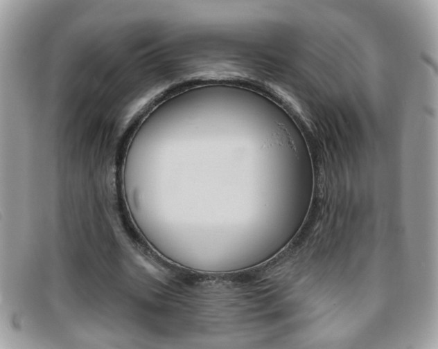 X0000095900535200801110807