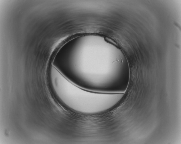 X0000095900536200801110807
