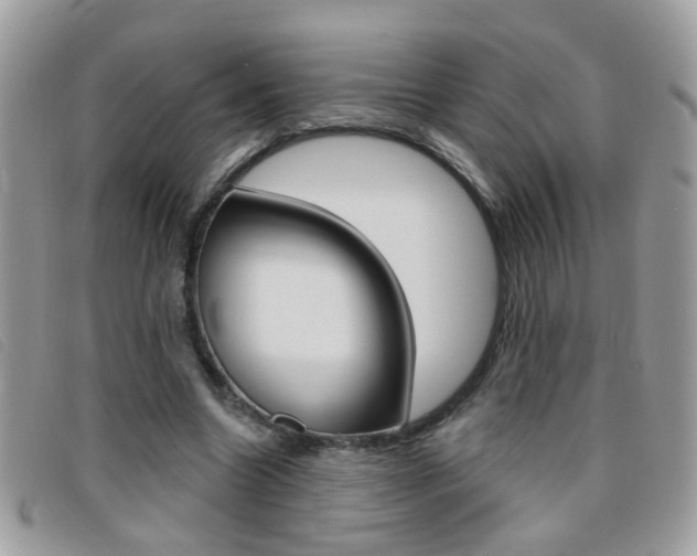 X0000095900538200801110807
