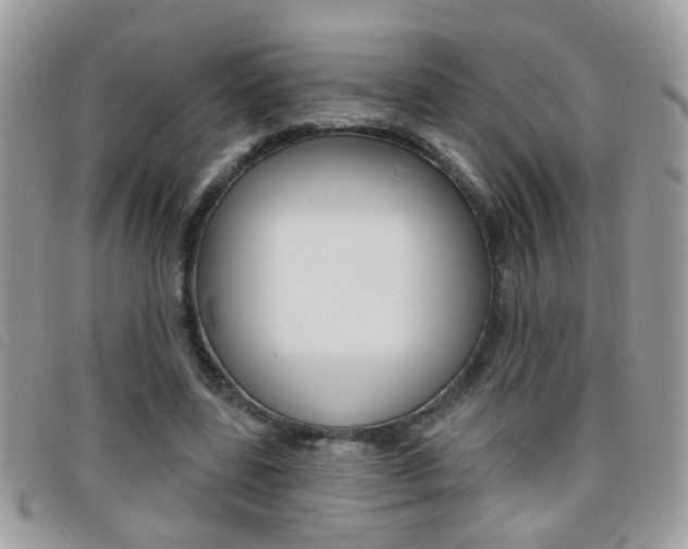 X0000095900539200801110807