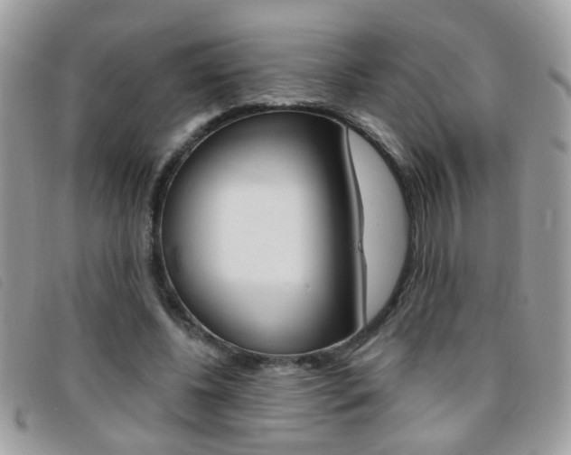 X0000095900540200801110807