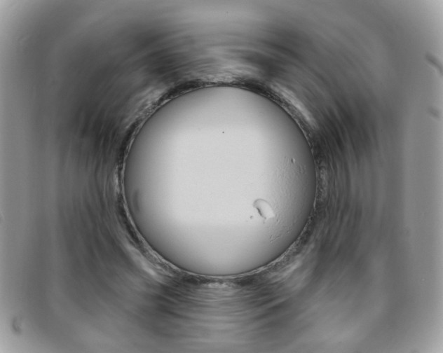 X0000095900541200801110807