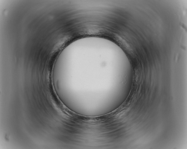 X0000095900542200801110807