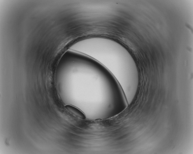 X0000095900544200801110807