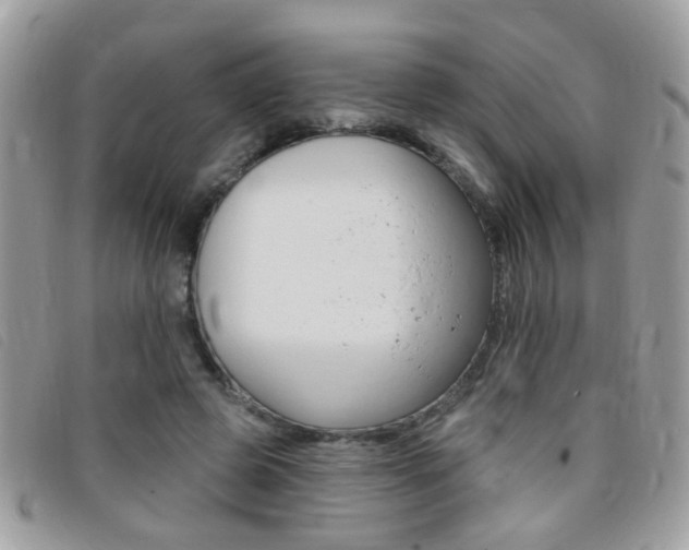 X0000095900545200801110807
