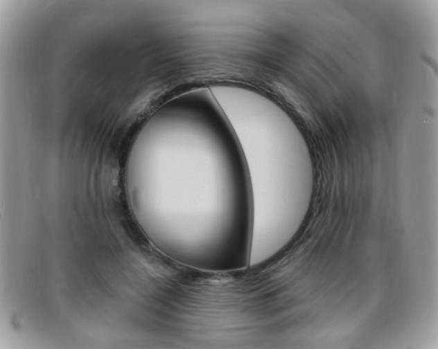 X0000095900548200801110807