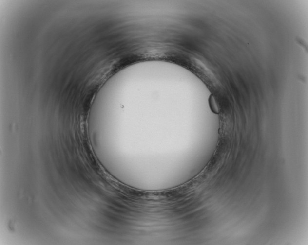 X0000095900549200801110807