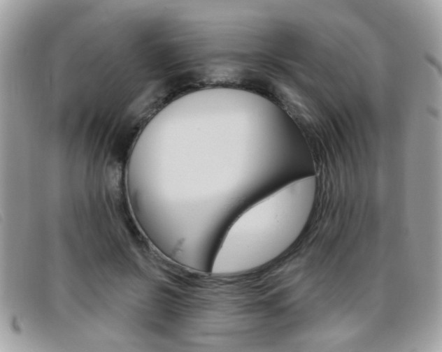X0000095900550200801110807