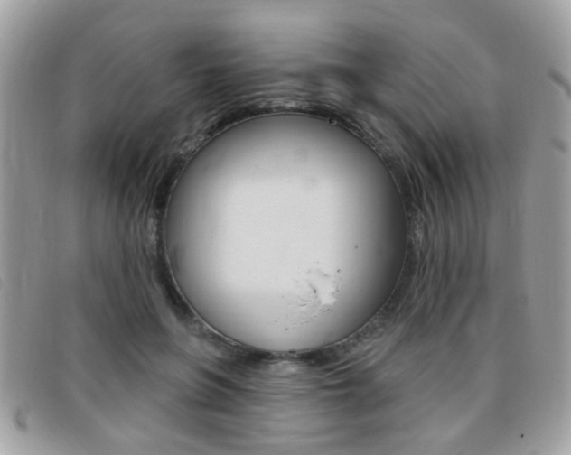 X0000095900551200801110807