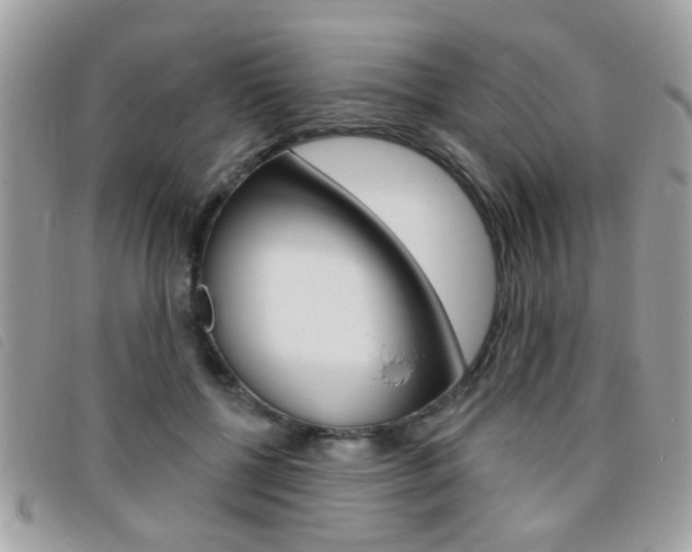 X0000095900552200801110807