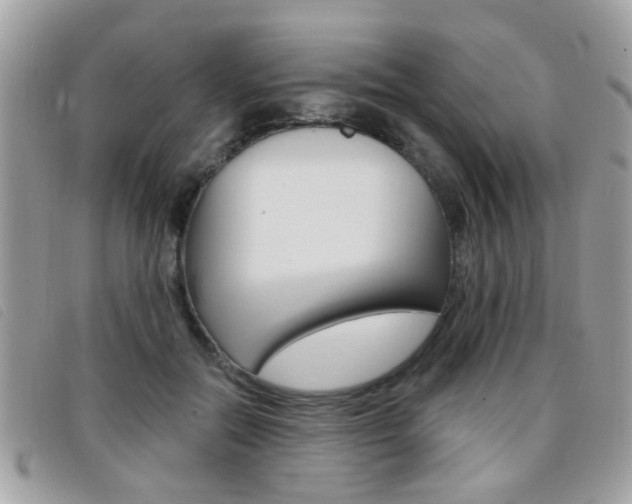 X0000095900554200801110807