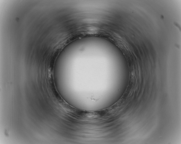 X0000095900555200801110807