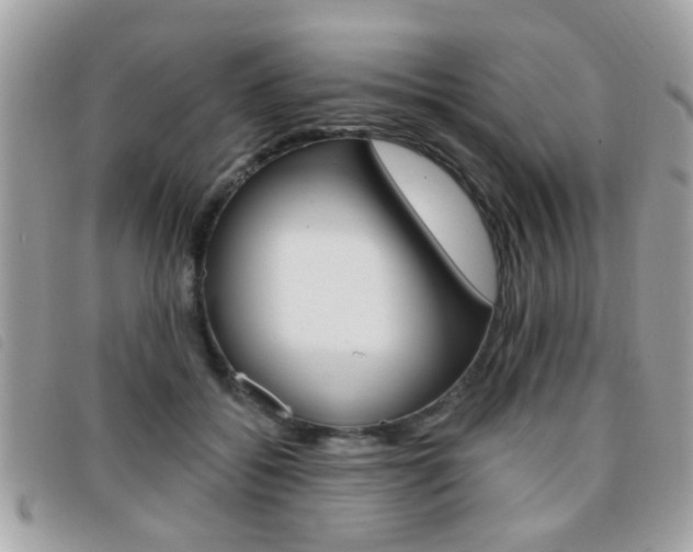 X0000095900556200801110807