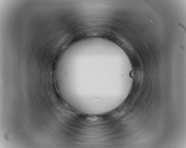 X0000095900557200801110807