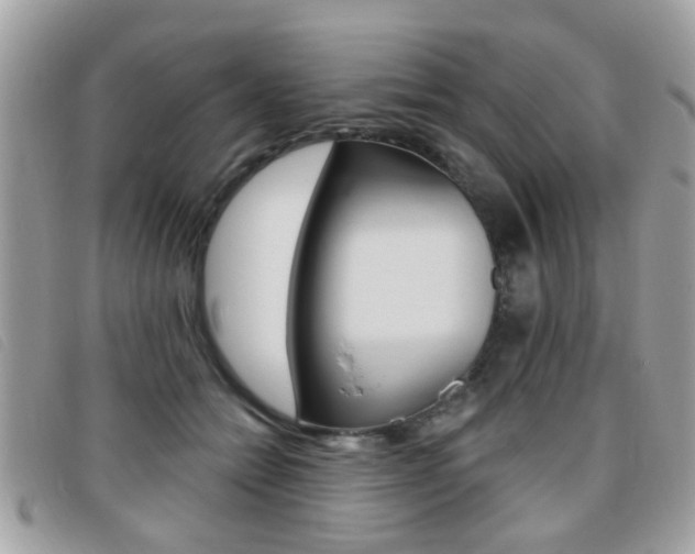 X0000095900558200801110807