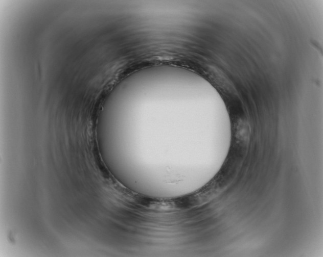 X0000095900559200801110807