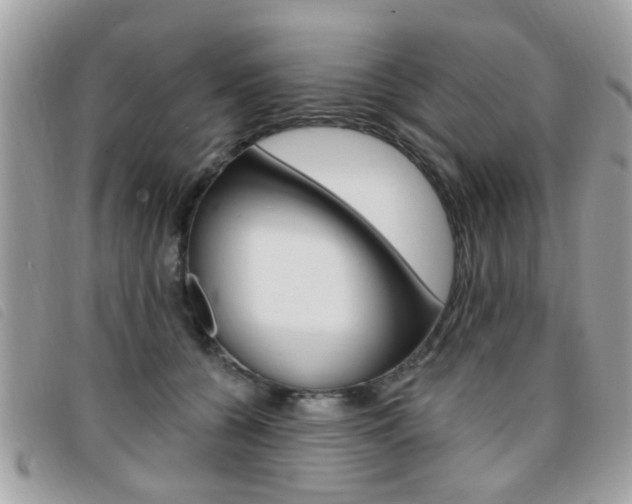 X0000095900560200801110807