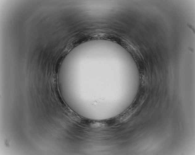 X0000095900561200801110807
