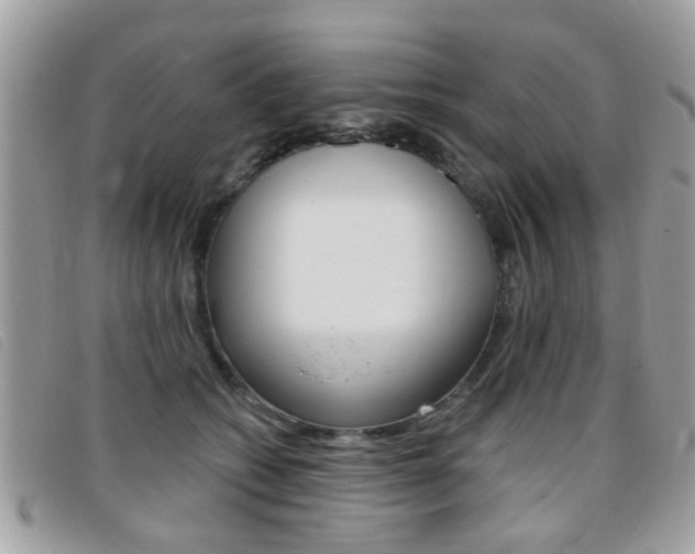 X0000095900562200801110807