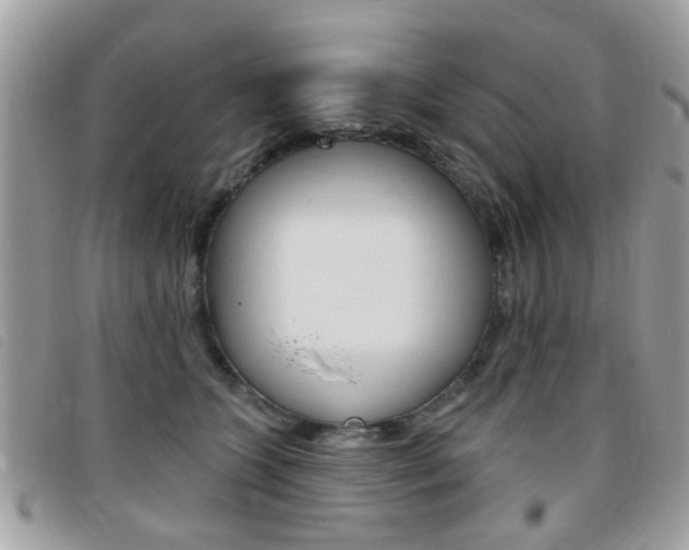 X0000095900563200801110807