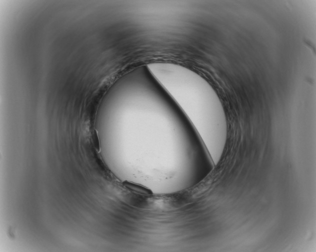 X0000095900564200801110807