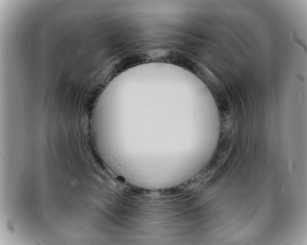 X0000095900565200801110807