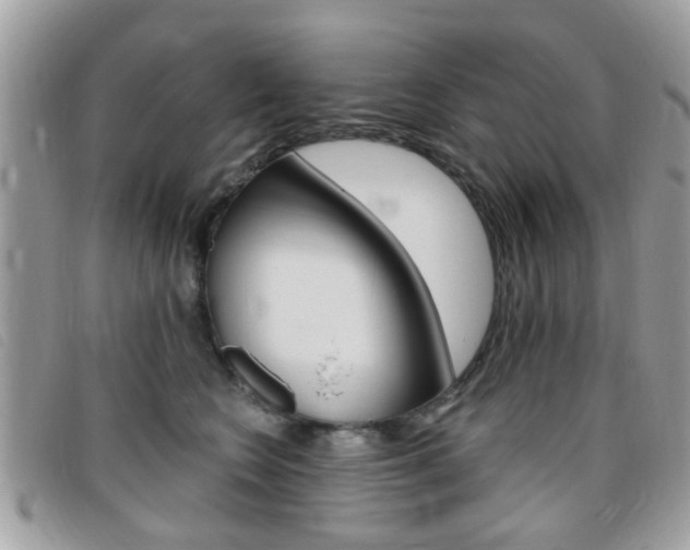 X0000095900566200801110807