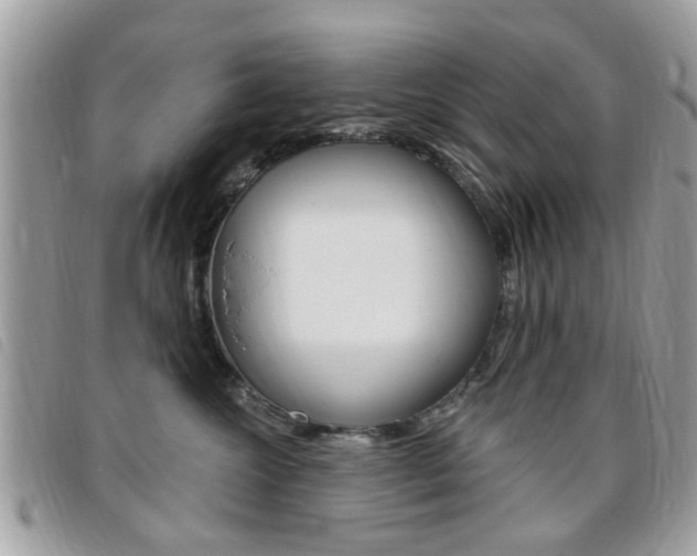 X0000095900572200801110807