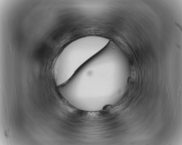 X0000095900573200801110807