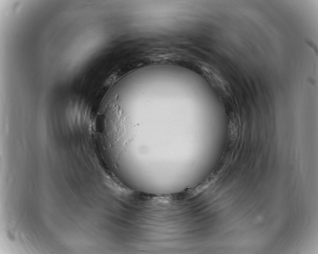 X0000095900574200801110807