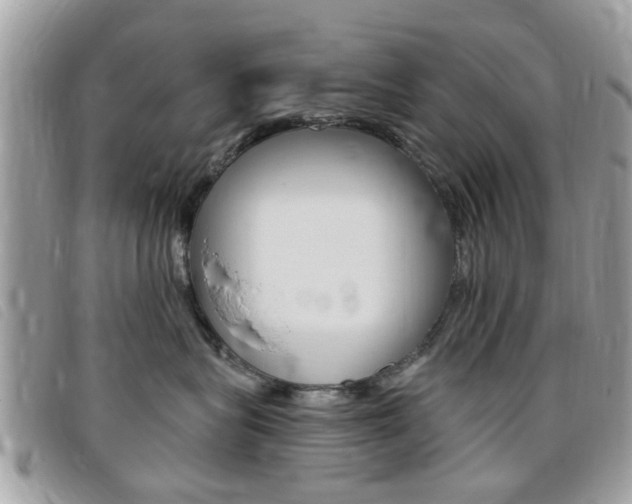 X0000095900575200801110807