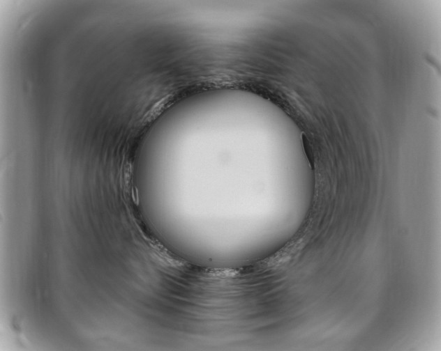 X0000095900576200801110807