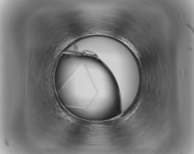 X0000095900577200801110807