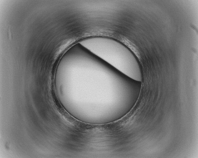 X0000095900578200801110807