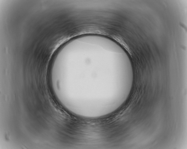 X0000095900579200801110807
