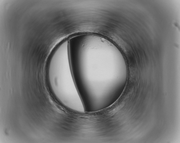 X0000095900580200801110807