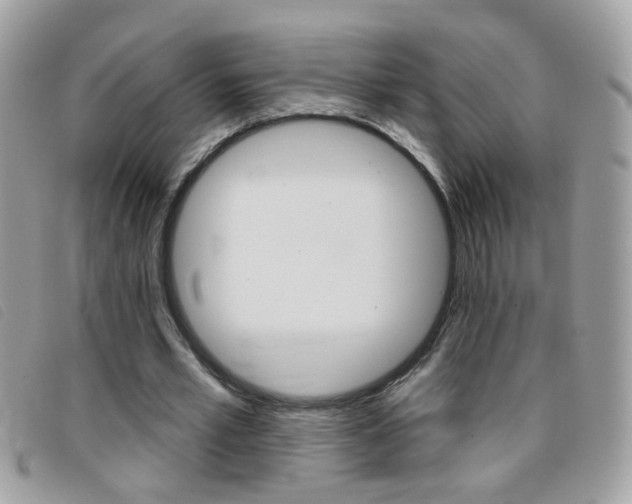 X0000095900581200801110807