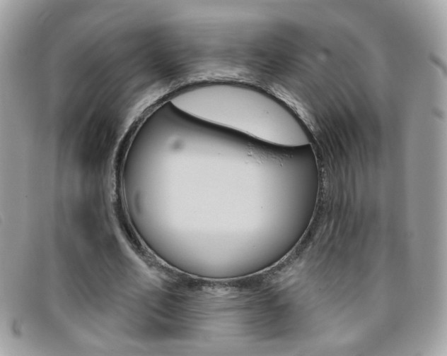 X0000095900582200801110807