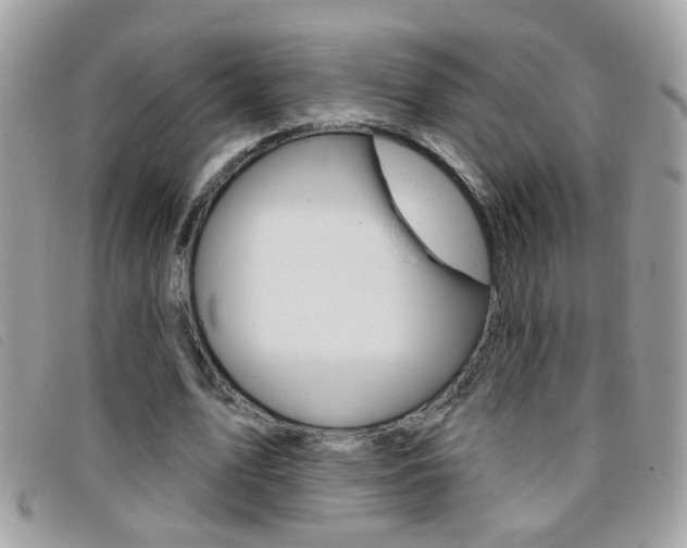 X0000095900583200801110807