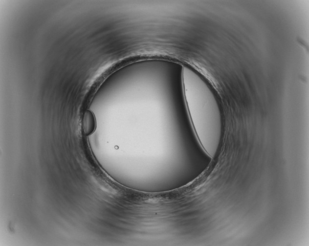 X0000095900584200801110807