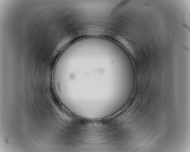 X0000095900586200801110807