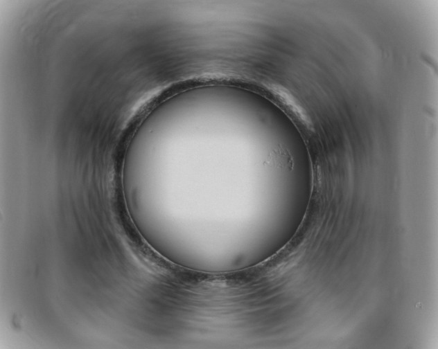 X0000095900588200801110807