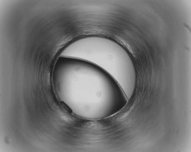 X0000095900589200801110807