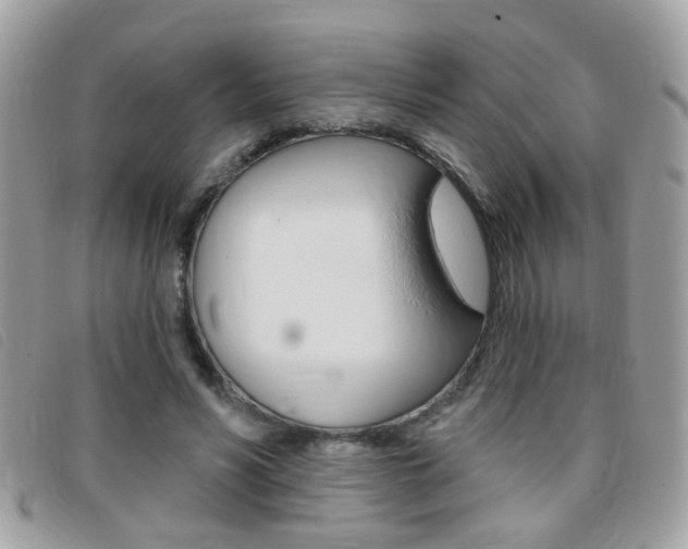 X0000095900590200801110807