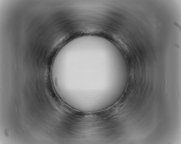 X0000095900591200801110807