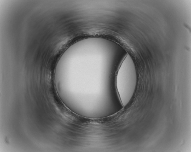 X0000095900592200801110806
