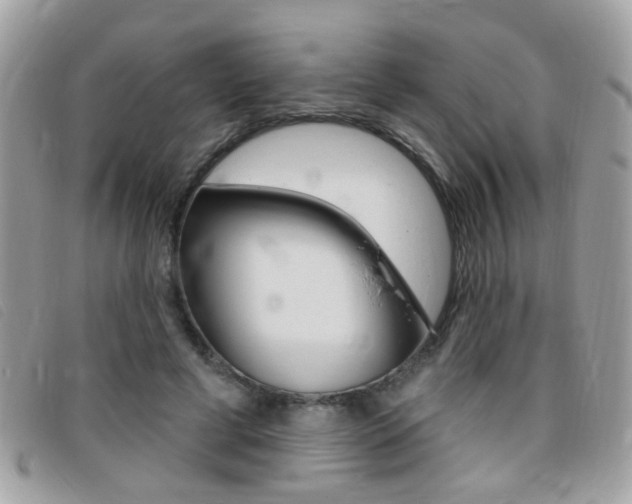 X0000095900593200801110806