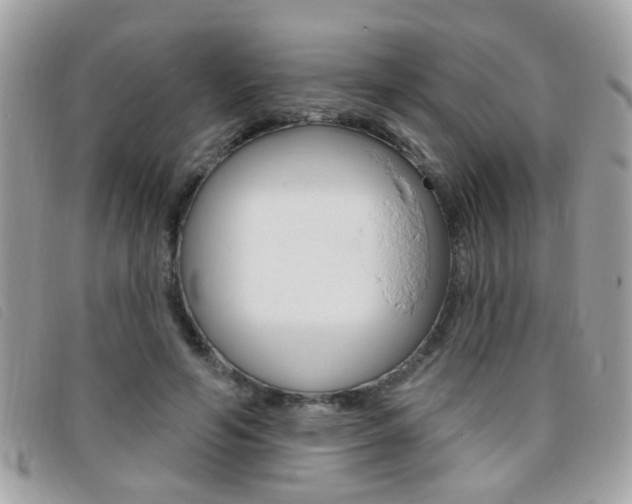 X0000095900594200801110806